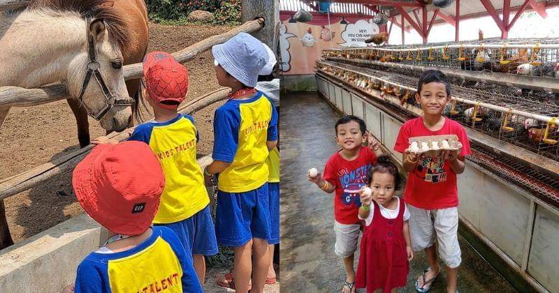 Instagram.com/jendelaalambandung